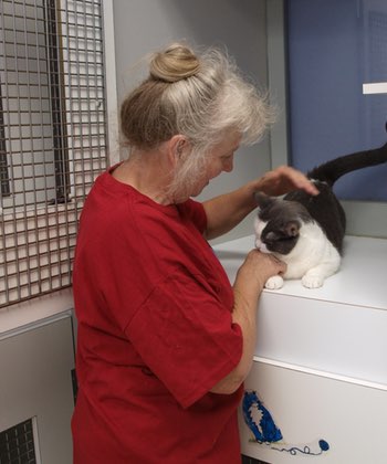 Carol Cares for a Cat at BlooMoon Pet Resort