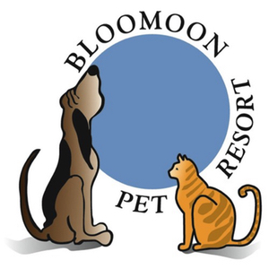 BlooMoon Logo